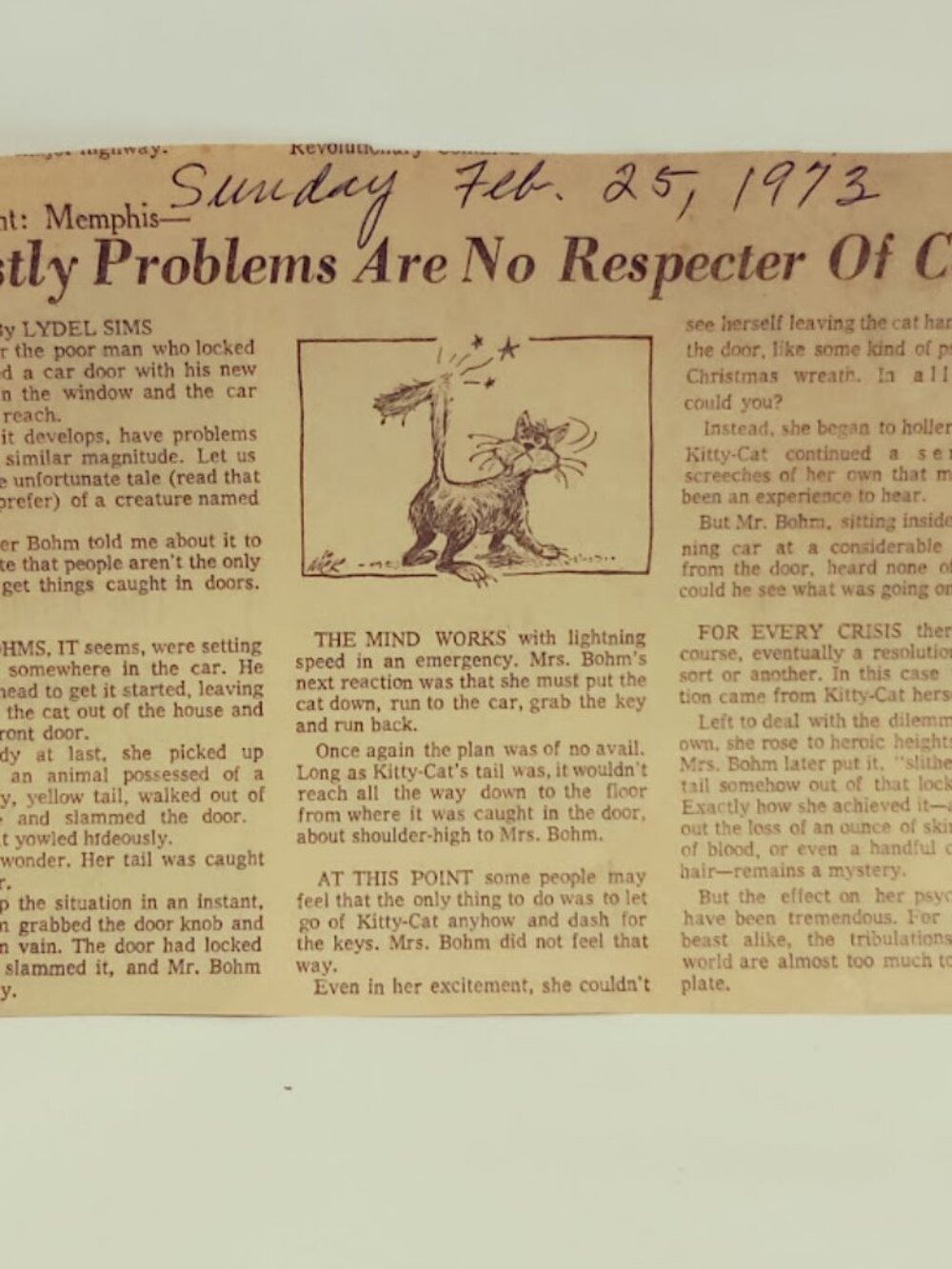 1973 Lydel Sims Assignment Memphis Newspaper Clipping Beastly Problems Cats
